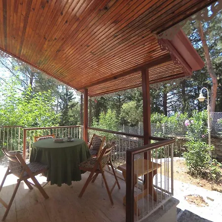 Feriehus Forest On Olympos Mountain Close To The Sea
