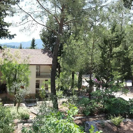 Forest On Olympos Mountain Close To The Sea * Kemer