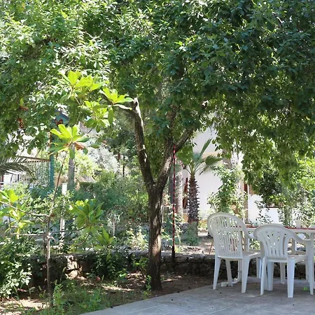 Case de vacanță Forest On Olympos Mountain Close To The Sea Kemer